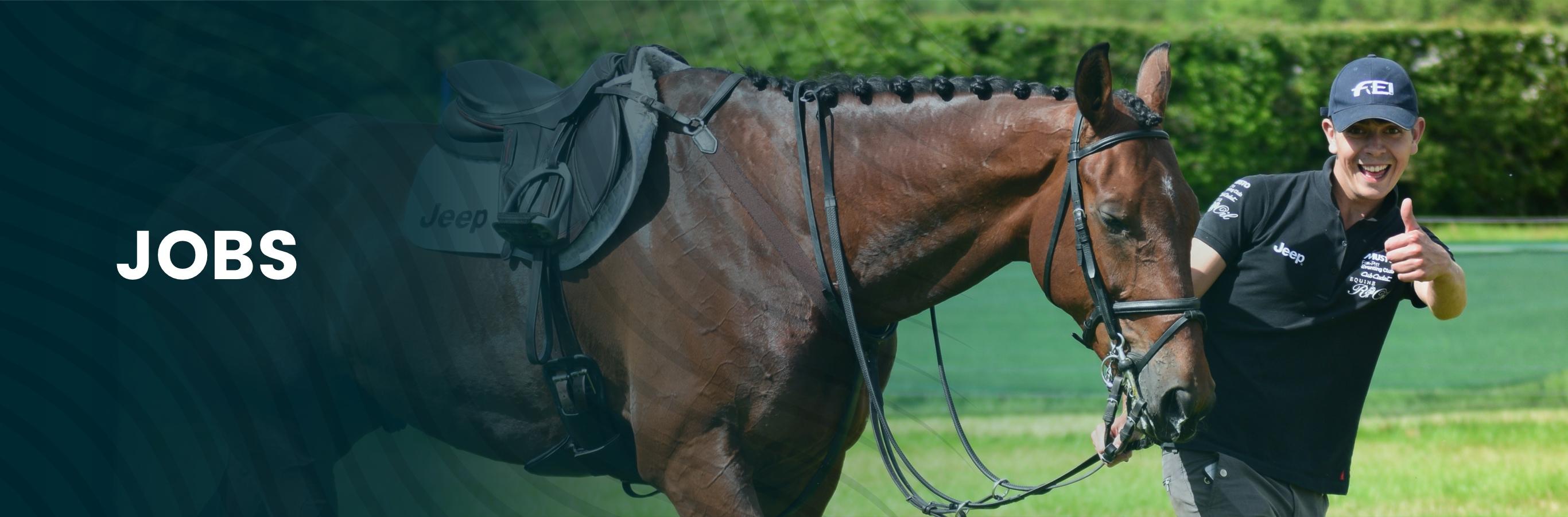 IGA Freelance groom adverts