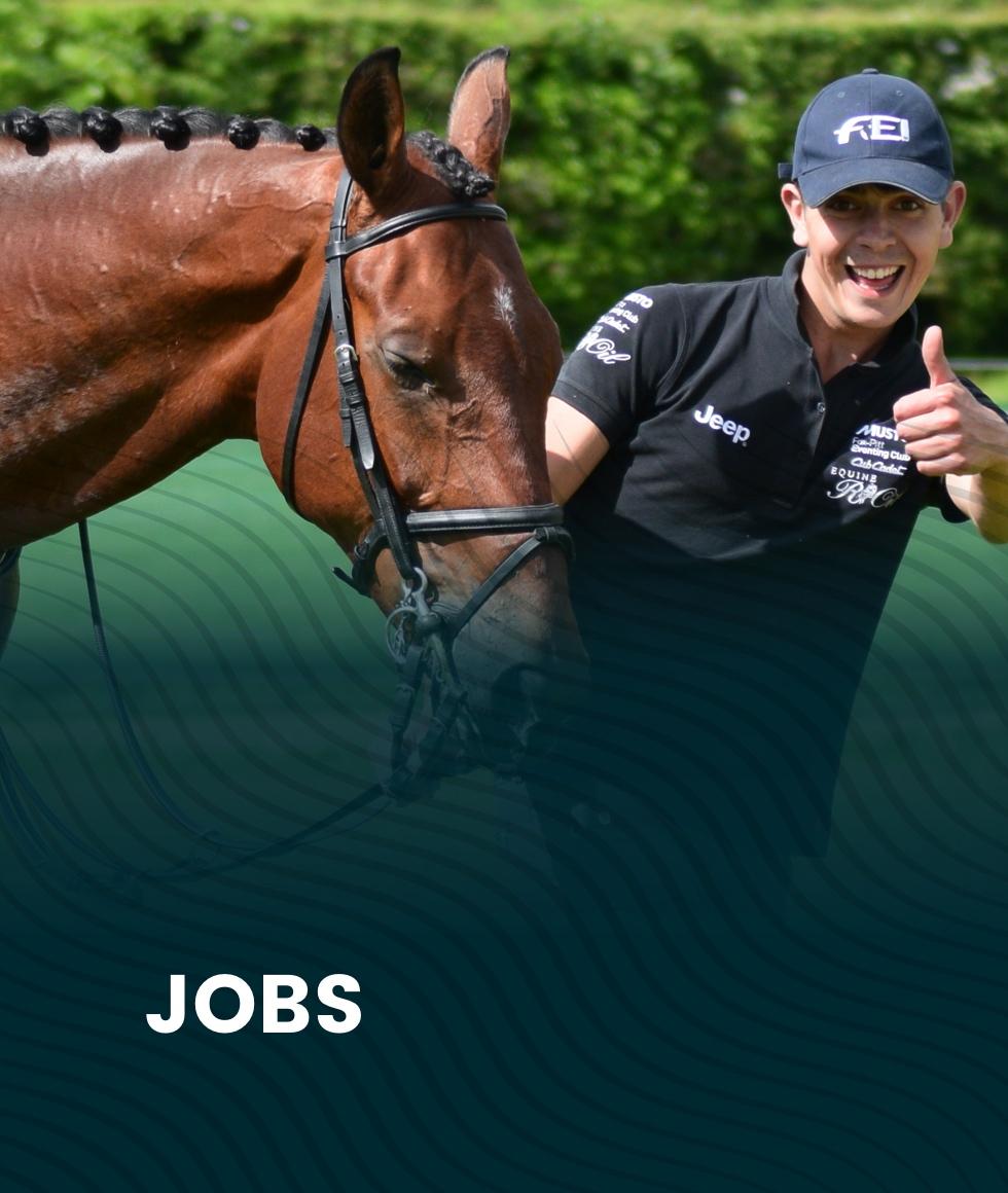 IGA Freelance groom adverts